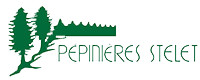 WordPress Logo